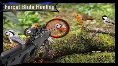 森林鸟狩猎截图1