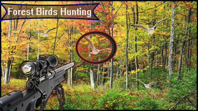 森林鸟狩猎截图4
