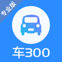 车300专业版 