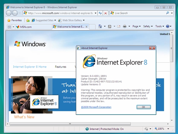 internetexplorer8.0截图1