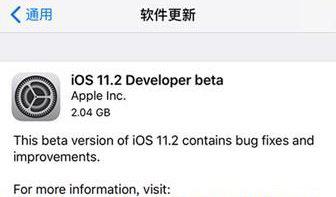 ios11.2beta1截图1