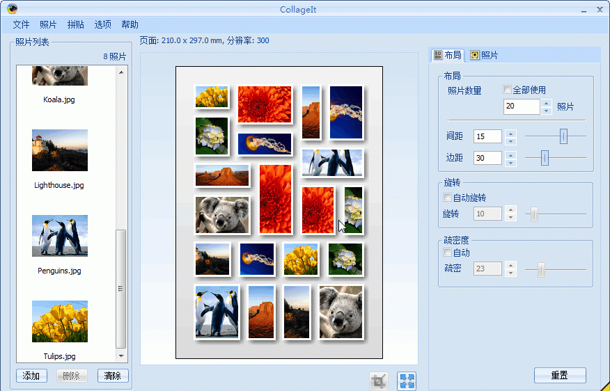 CollageItProv1.9.5.3560简繁体中文注册版_趣味拼贴画制作截图1