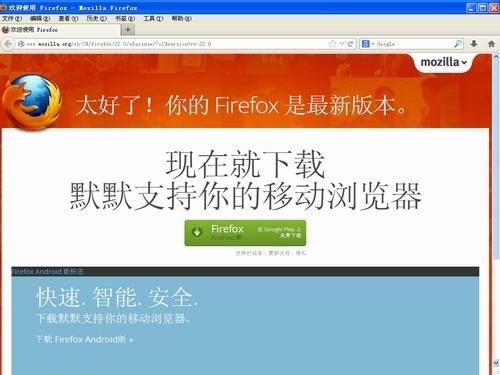 FirefoxPortableV38.0.1.0正式版截图1