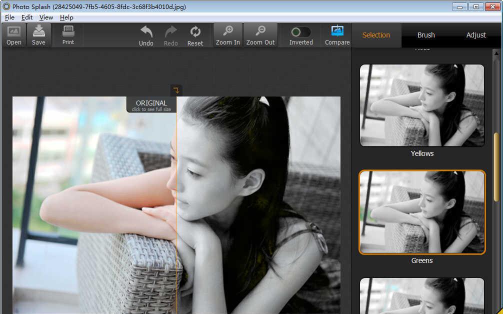 IDImagerPhotoSplashv1.1.6.30破解直装版_照片重新着色软件截图1