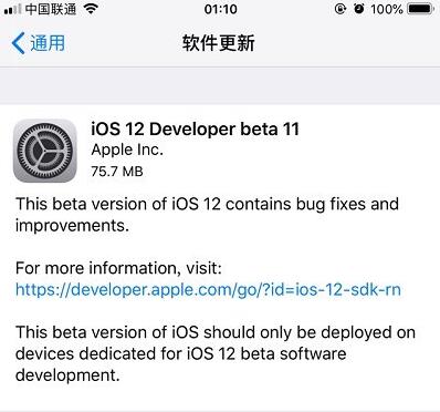 ios12beta11截图1