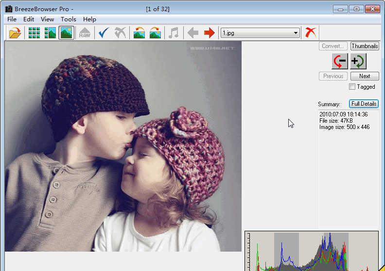 BreezeBrowserProv1.9.8.6注册版_RAW图象处理软件截图1