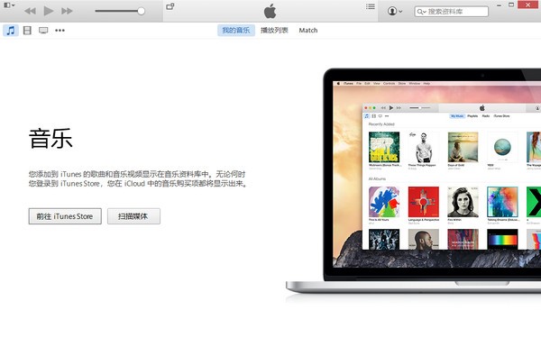 itunesxp截图1