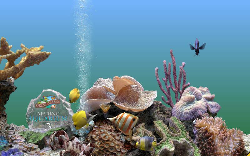 serenescreenmarineaquarium截图1