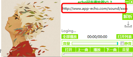 echo回声播放器截图2