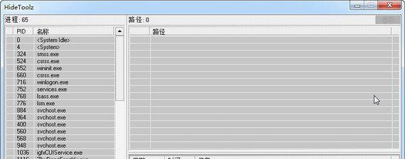 hidetoolz64位截图1