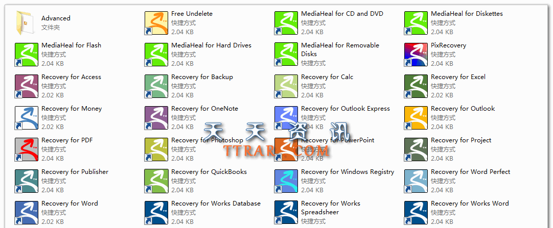 OfficeRecovery 2013 Ultimate v13.0.40450 注册版