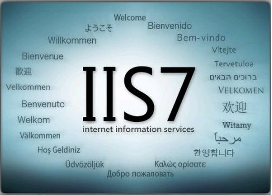 iis截图1