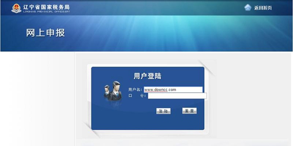 辽宁国税网上申报系统截图1