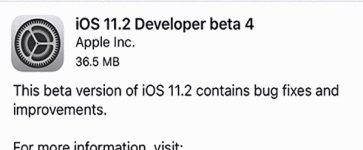 ios11.2beta4截图1