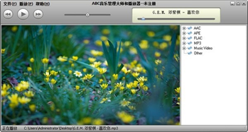 ABC音乐管理大师截图2