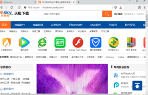 Brave浏览器截图2