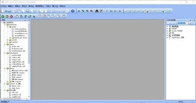 StylusStudioXML(XML编辑器)截图1