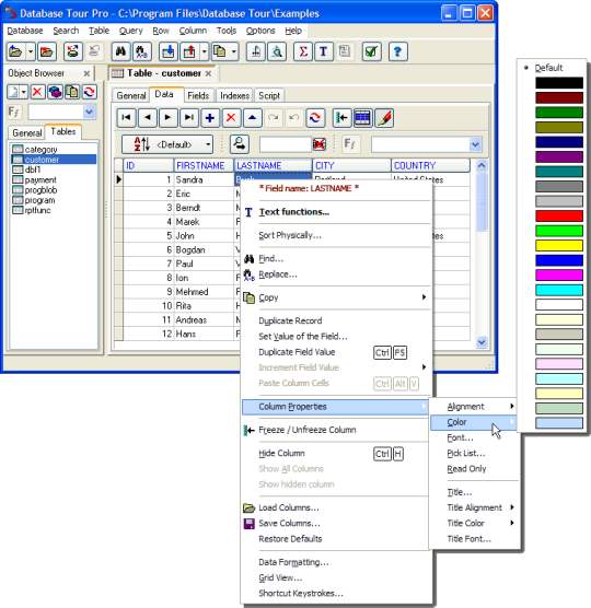 数据库编辑工具(DatabaseTourPro)截图2