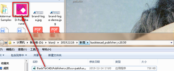 BackToCADPublisher(CAD转换器)截图3