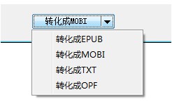 ePUBeeeBookConverter(电子书转换器)截图3