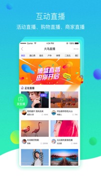 火鸟门户截图1