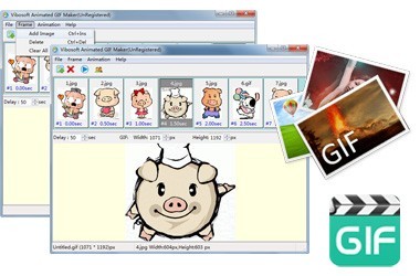 VibosoftAnimatedGIFMaker(GIF制作软件)最新版截图3