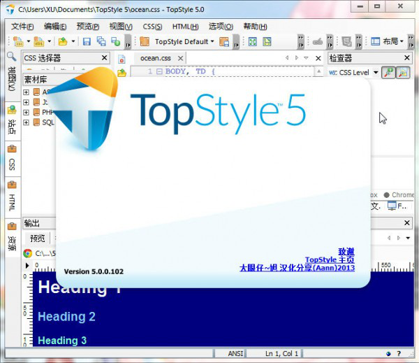 TopStylePro(CSS设计利器)截图1