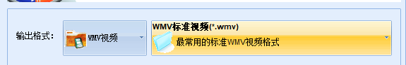 枫叶WMV视频格式转换器截图3