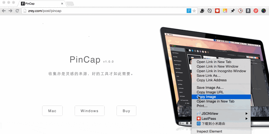 PinCap(网页图片云储存)截图2