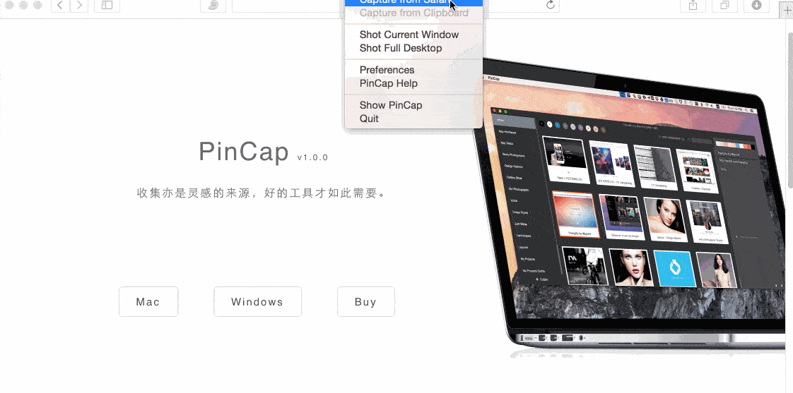 PinCap(网页图片云储存)截图3